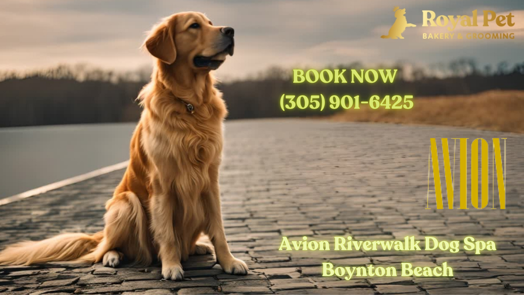 Exciting News for Pet Lovers in Boynton Beach!